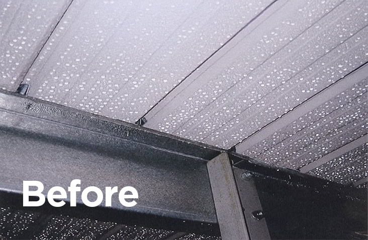Interior ceiling of a shipping container before treatment, showing heavy condensation droplets forming across the metal roof. 
