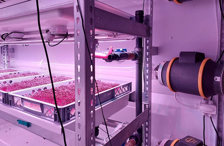 Interior of a containerised vertical farming system, showing grow trays under LED lighting, irrigation pipework and climate control equipment inside a LettUs Grow Drop & Grow shipping container. 